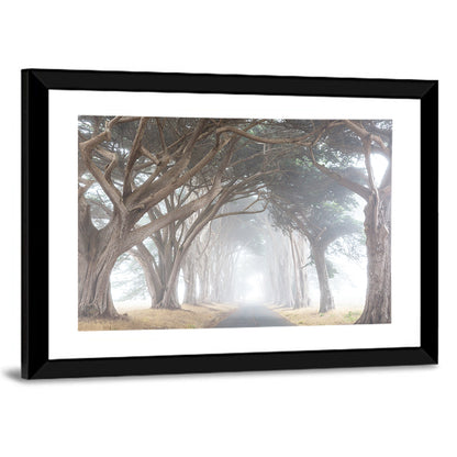 Misty Cypress Tunnel Wall Art