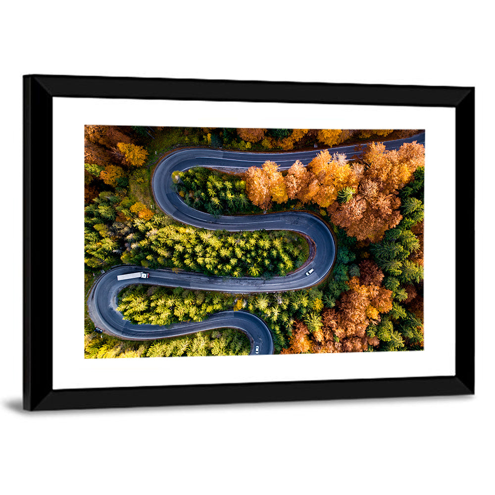 Serpentine Forest Road Wall Art