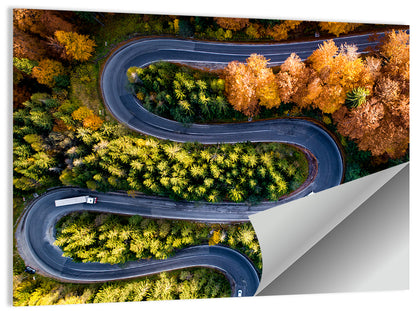Serpentine Forest Road Wall Art