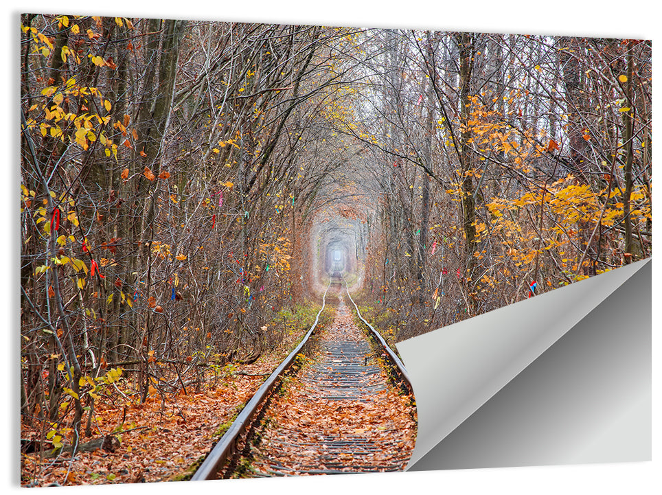 Klevan Tunnel of Love Wall Art