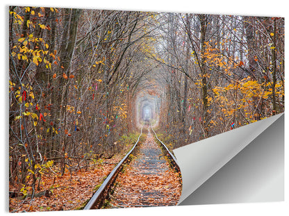 Klevan Tunnel of Love Wall Art