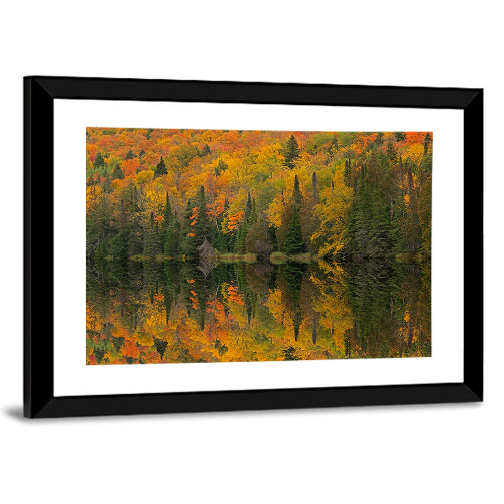 Ottawa National Forest Autumn Reflection Wall Art