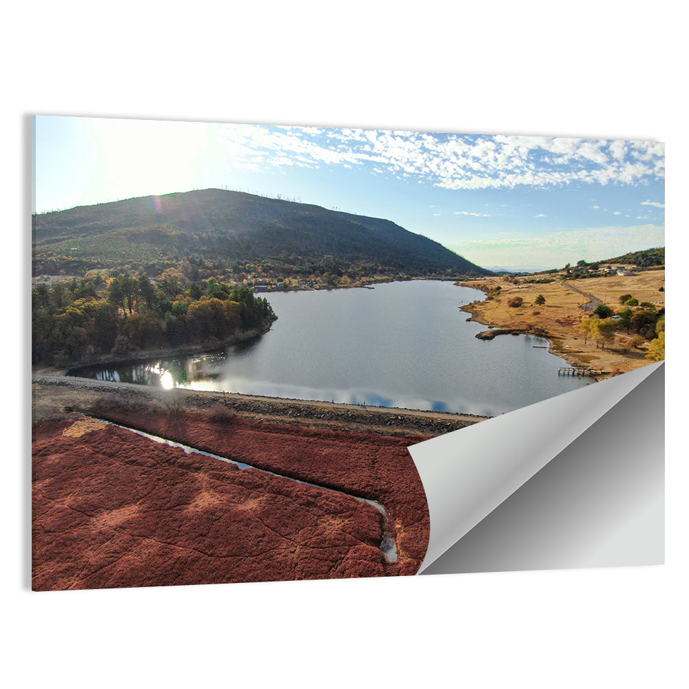 Lake Cuyamaca Aerial View Wall Art