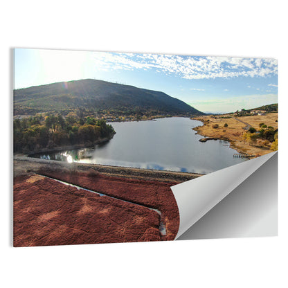 Lake Cuyamaca Aerial View Wall Art