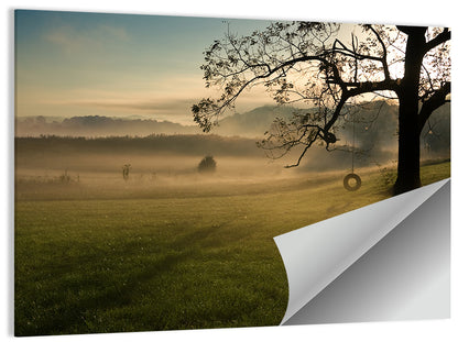 Tire Swing in Morning Mist Wall Art