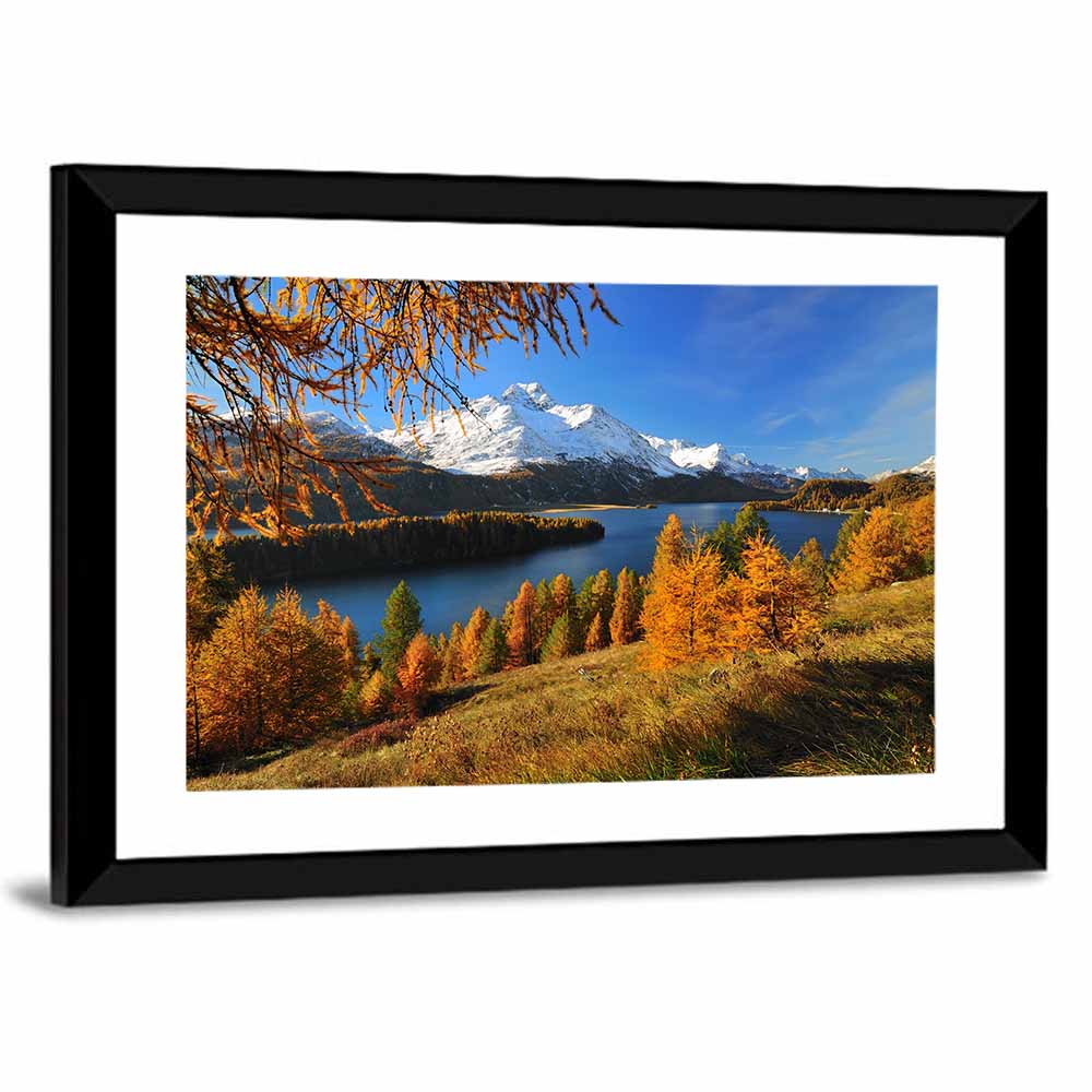 Silsersee Larches and Swiss Alps Wall Art