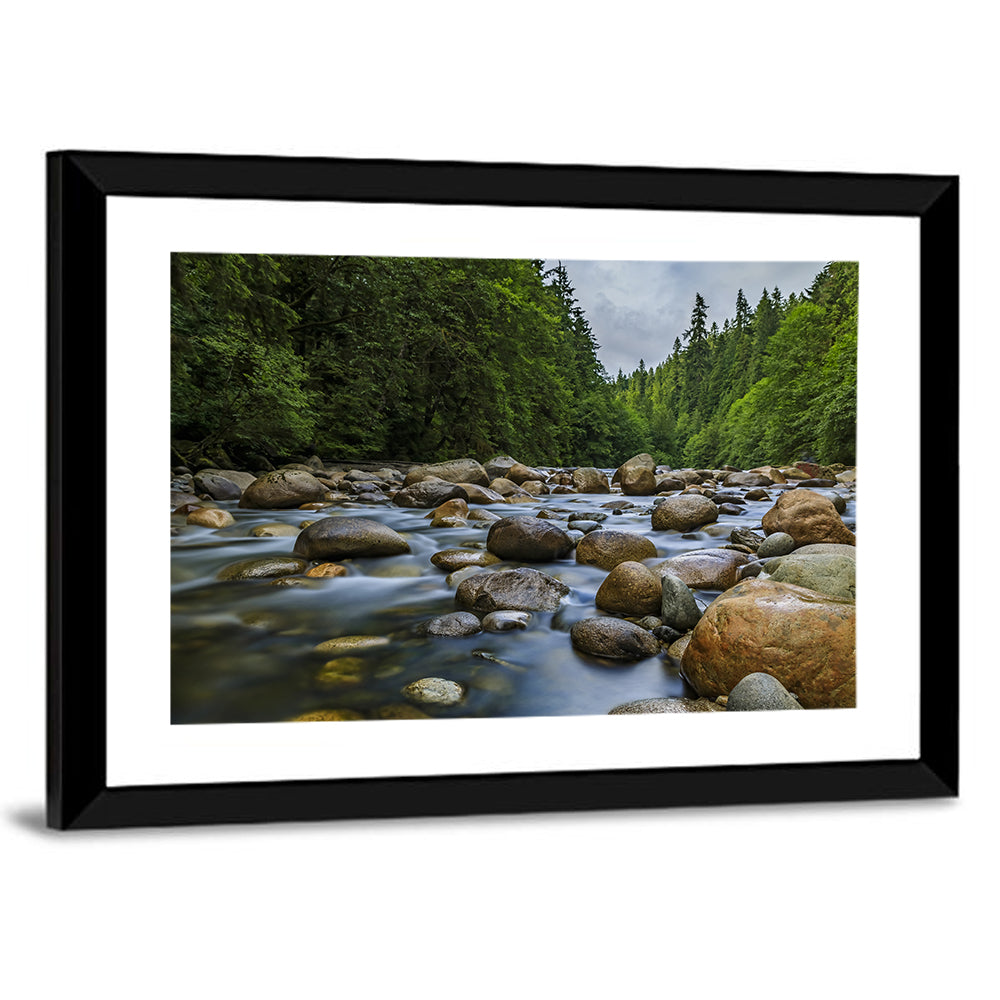 Lynn Canyon Riverbed Forest Wall Art