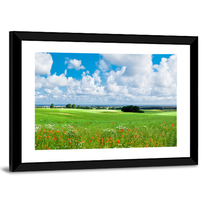 Summer Meadow with Poppies Wall Art as a framed print