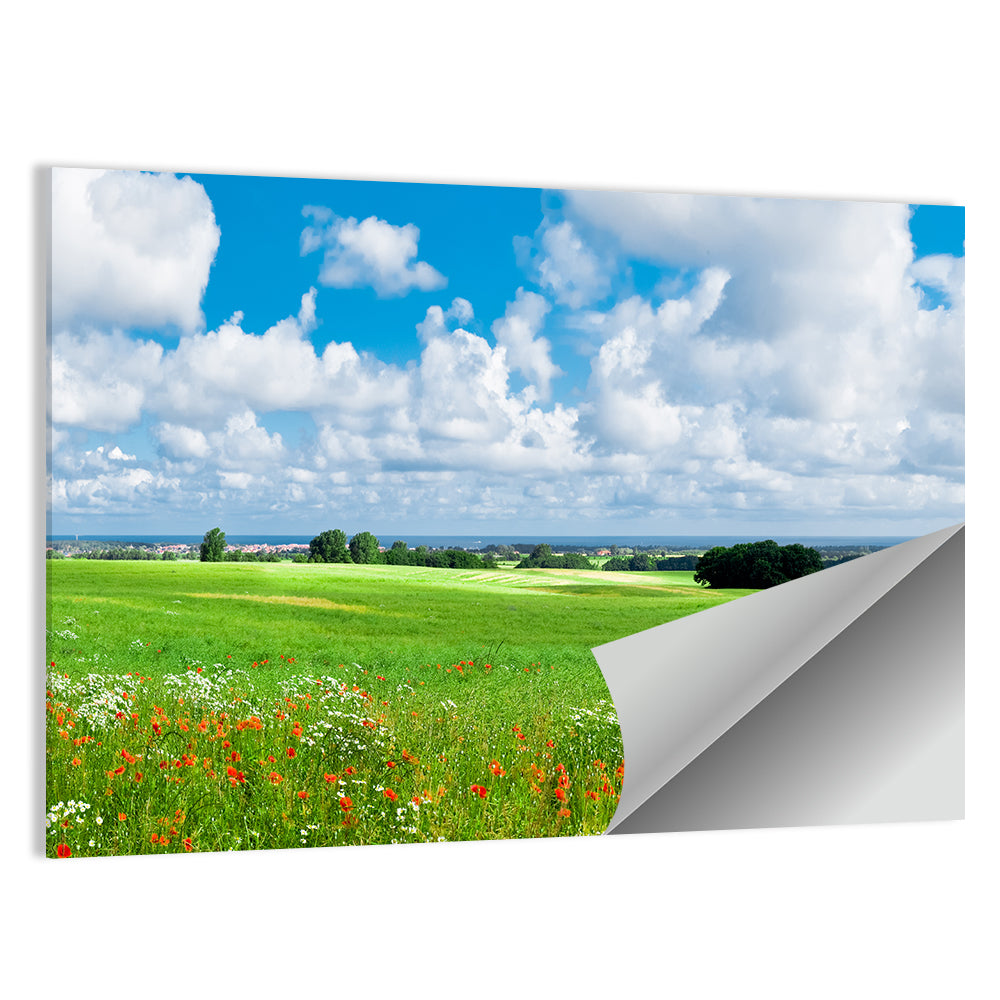 Summer Meadow with Poppies Wall Art
