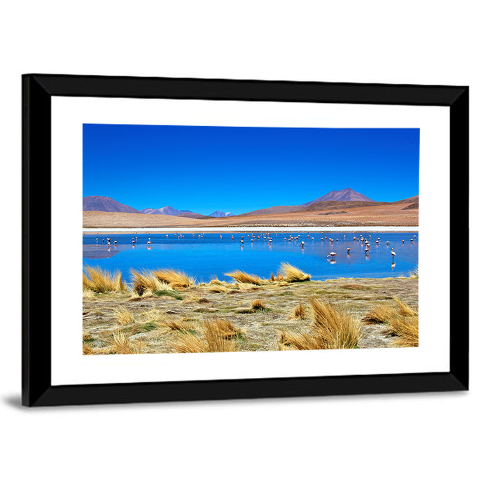 Laguna Flamingo Lake Wall Art as a framed print