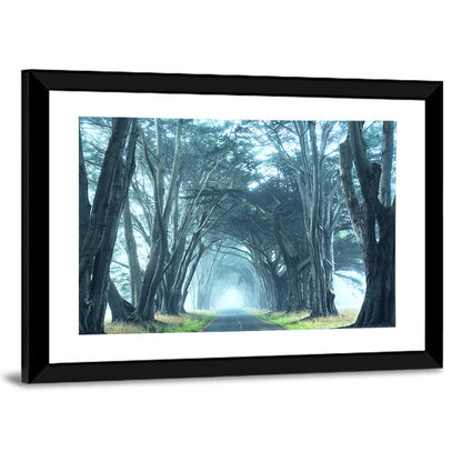 Foggy Cypress Tree Tunnel Wall Art
