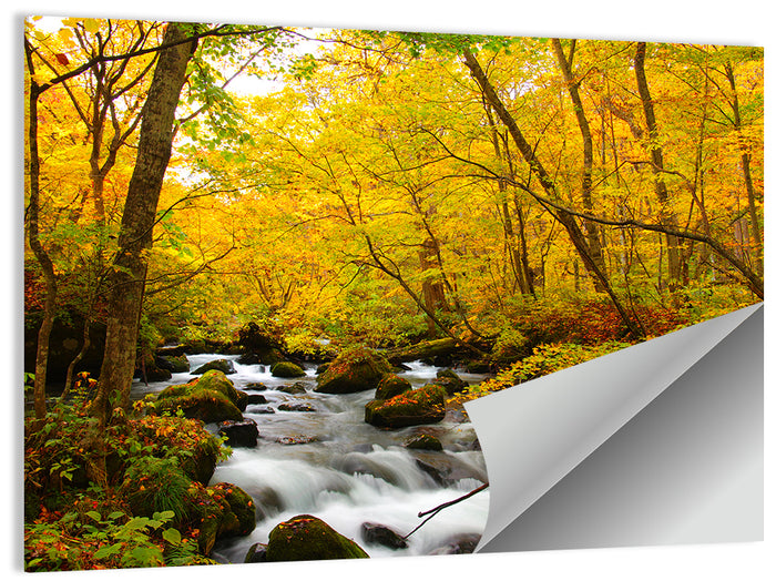 Oirase River Wall Art as a poster print