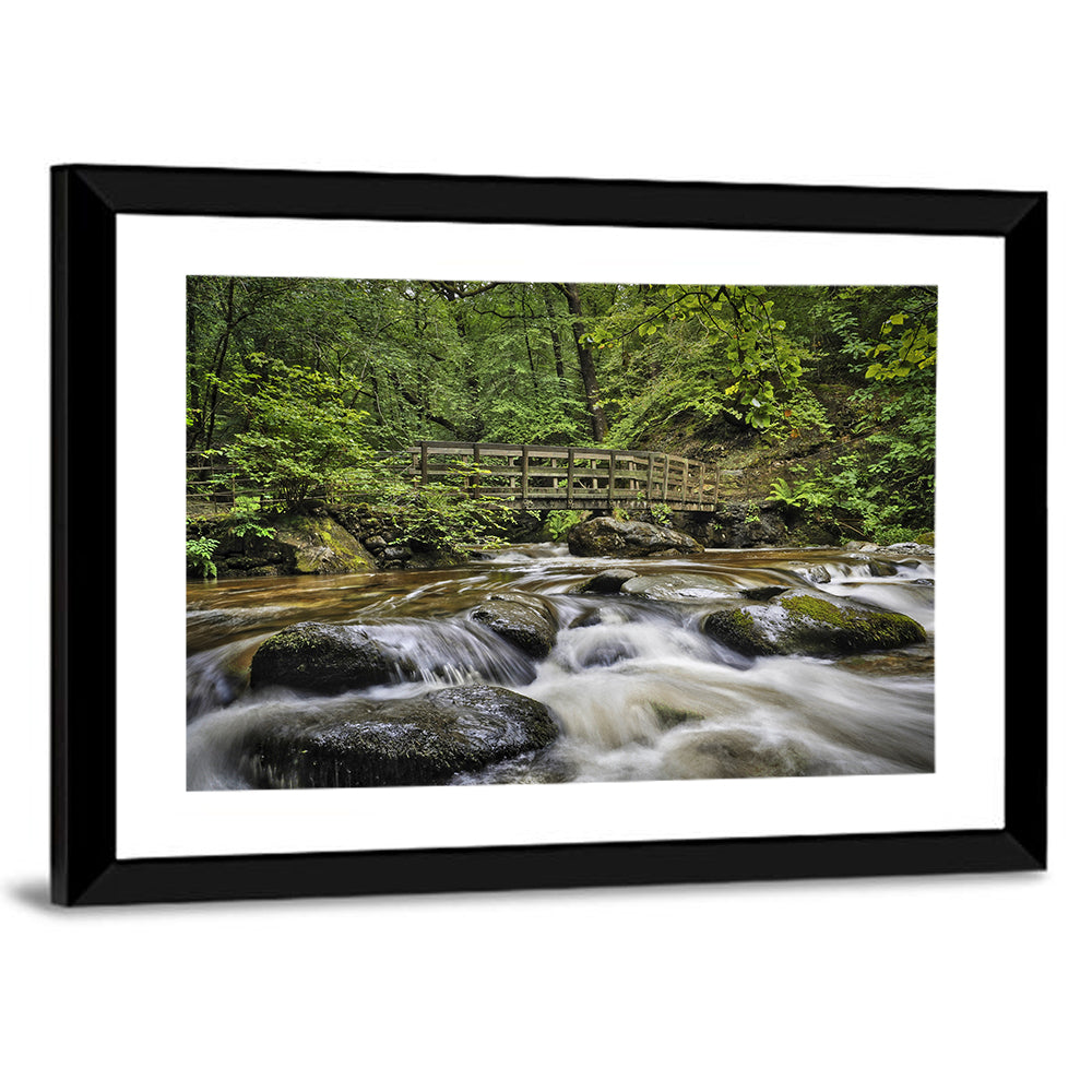 Stock Ghyll Footbridge Forest Stream Wall Art