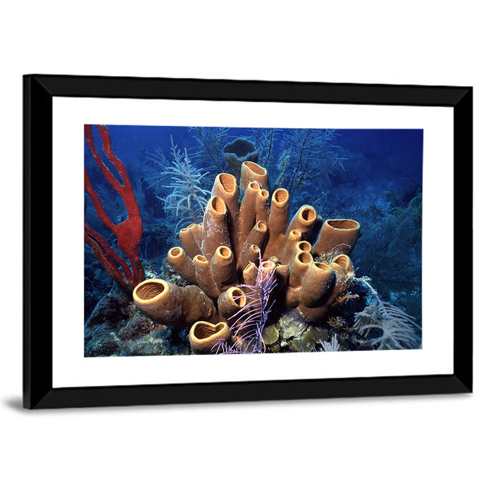 Belize Reef Sponge Scene Wall Art as a framed print