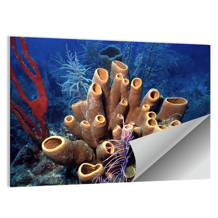 Belize Reef Sponge Scene Wall Art as a poster print