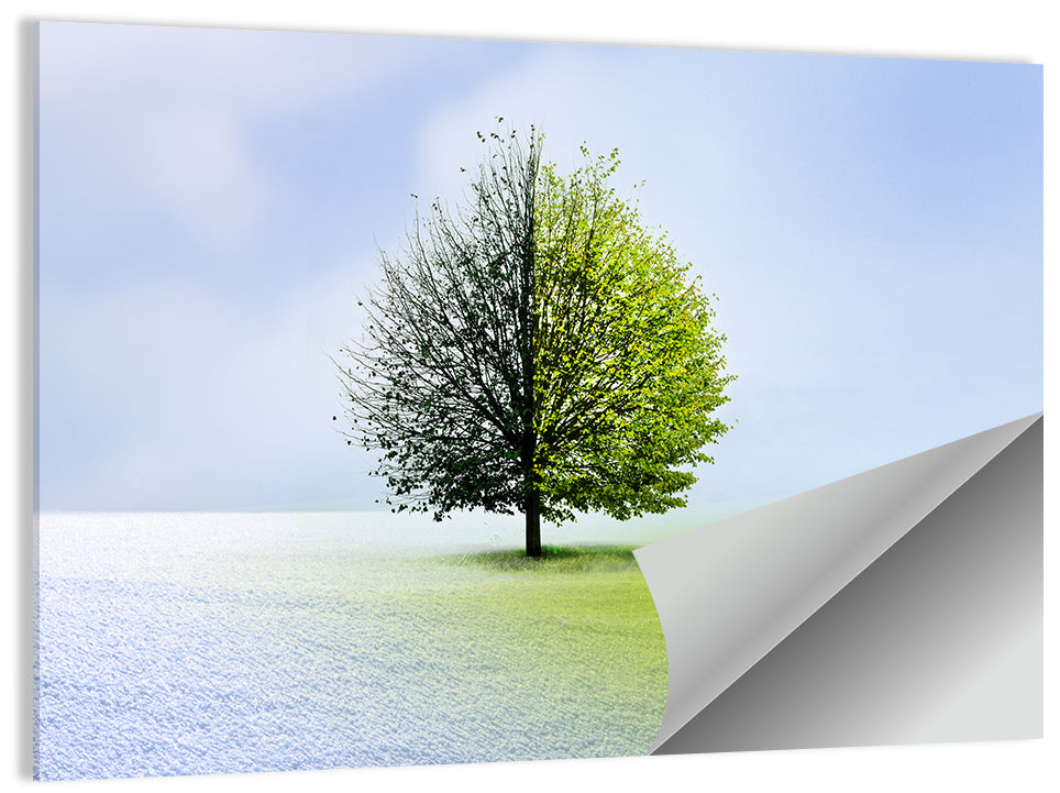 Winter to Spring Tree Wall Art, poster print, landscape