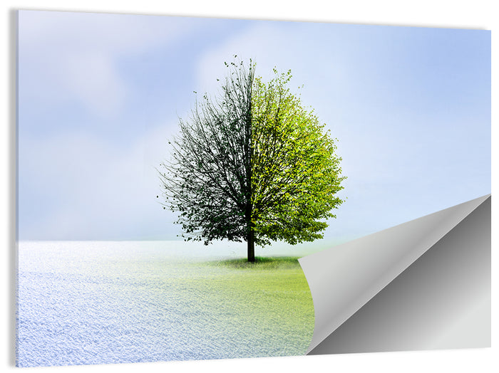 Winter to Spring Tree Wall Art as a poster print