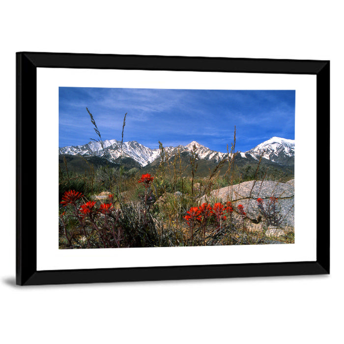 Sierra Nevada Wildflower Vista Wall Art as a framed print