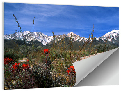 Sierra Nevada Wildflower Vista Wall Art