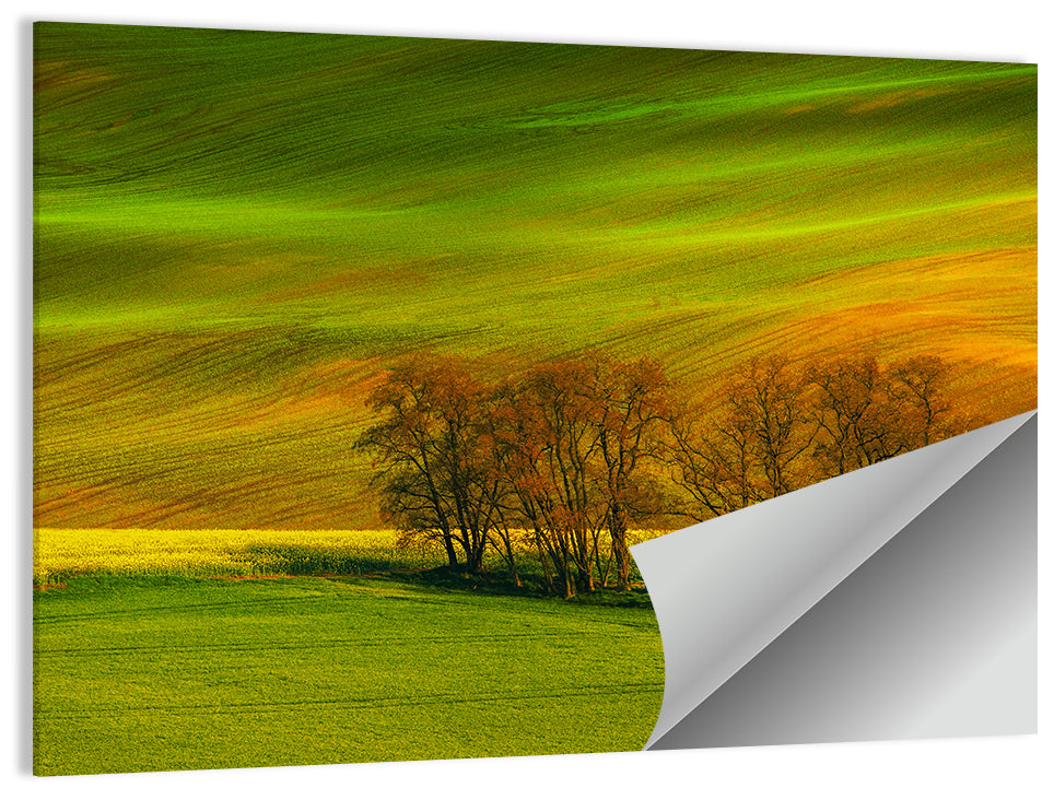 Moravian Wheat Fields with Chapel Wall Art