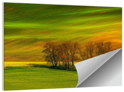 Moravian Wheat Fields with Chapel Wall Art