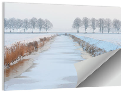 Frozen Canal with Bare Trees Wall Art