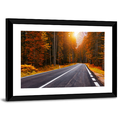 Golden Hour Forest Road Wall Art