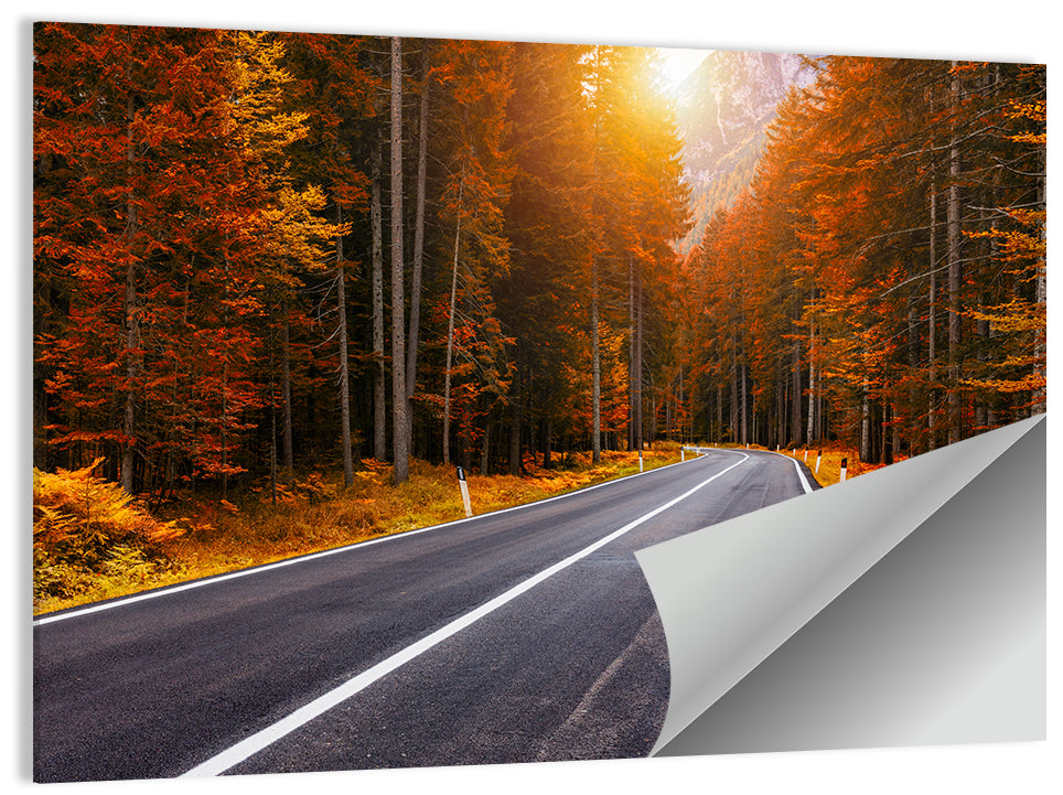Golden Hour Forest Road Wall Art