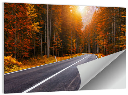 Golden Hour Forest Road Wall Art