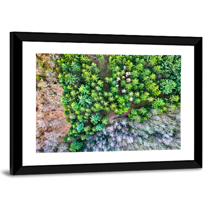 Vosges Mountains Wall Art as a framed print