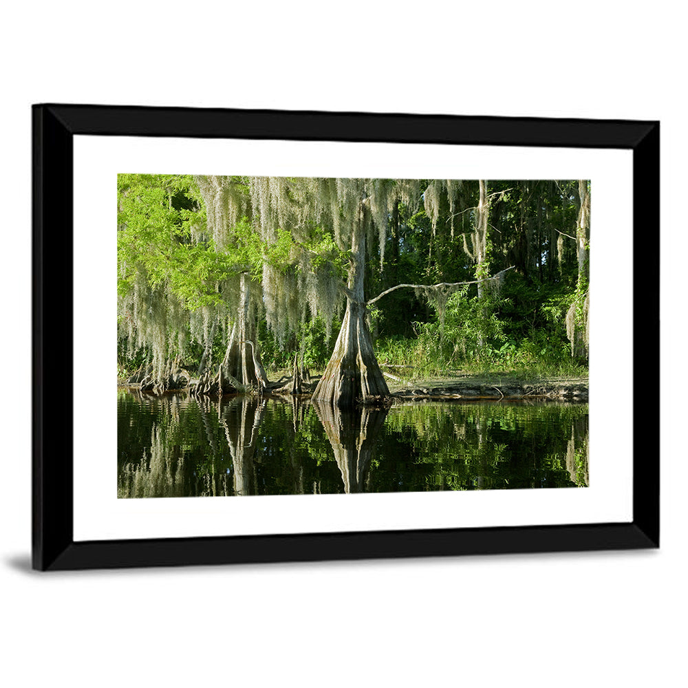 Bald Cypress and Great Blue Heron Wall Art