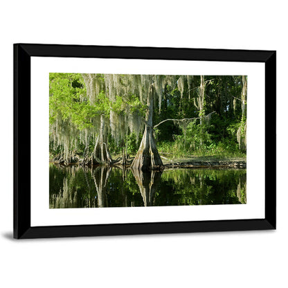 Bald Cypress and Great Blue Heron Wall Art