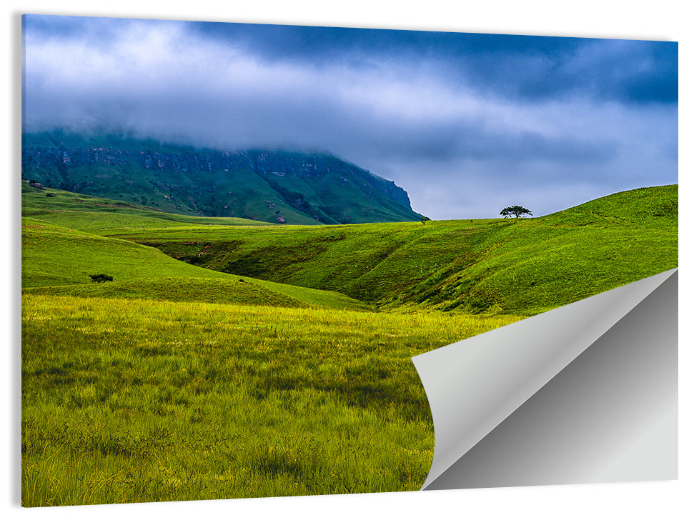 Dragon Mountains with Lone Tree Wall Art