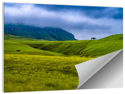 Dragon Mountains with Lone Tree Wall Art