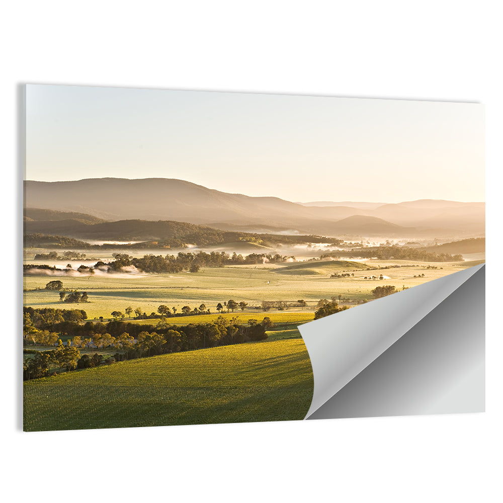 Yarra Valley Morning Mist Wall Art