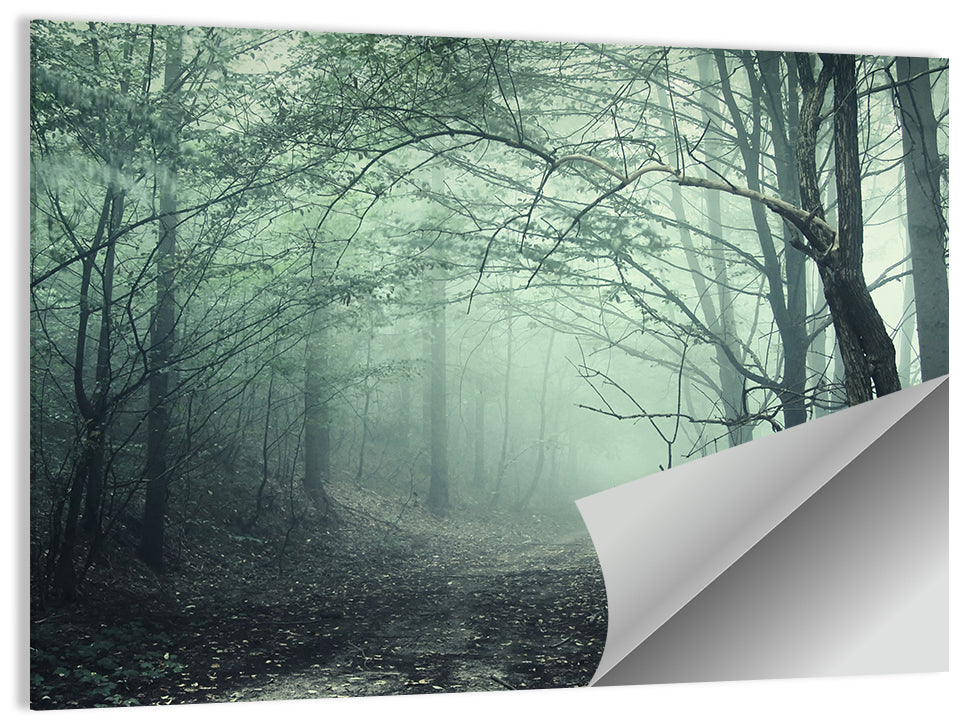 Misty Forest Path Wall Art