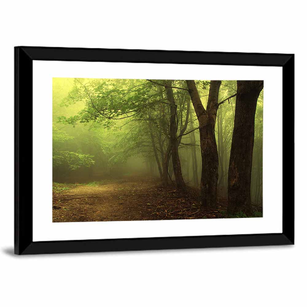 Misty Green Forest Path Wall Art