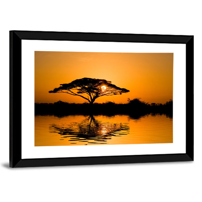 Acacia Tree at Sunrise Wall Art as a framed print