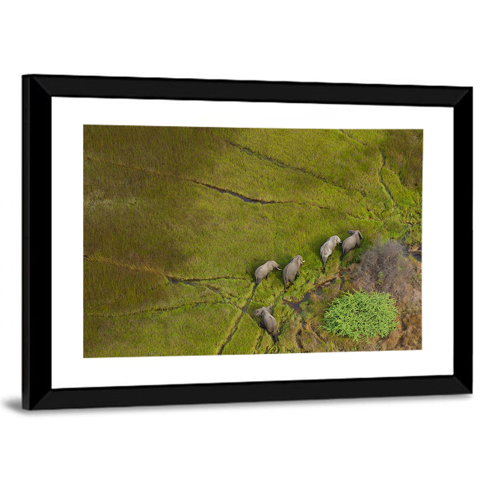 Aerial Herd of Elephants Wall Art
