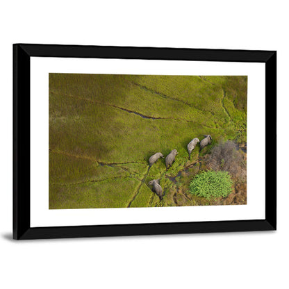 Aerial Herd of Elephants Wall Art