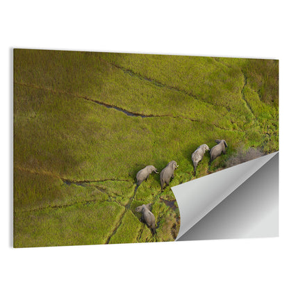 Aerial Herd of Elephants Wall Art