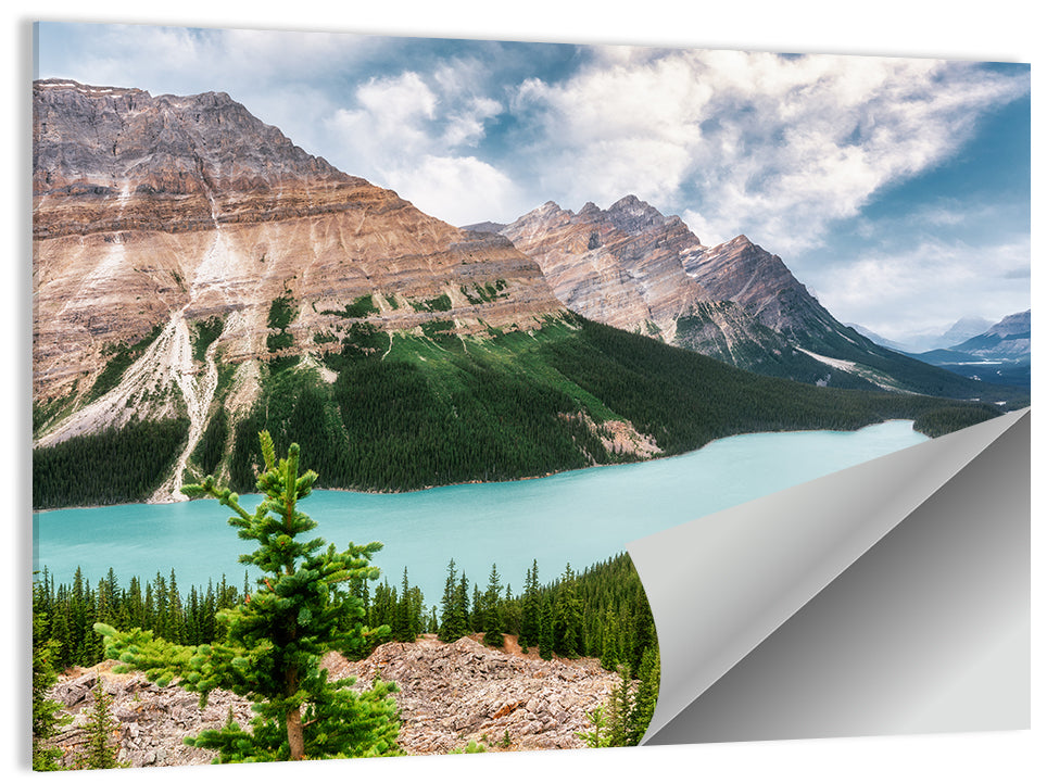 Peyto Lake Scenic View Wall Art