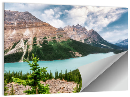 Peyto Lake Scenic View Wall Art