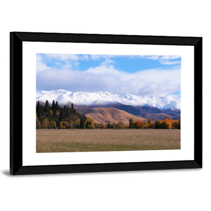 Ben Ohau Mountain Meadow Wall Art