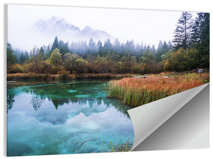 Lake Zelenci Reflections Wall Art