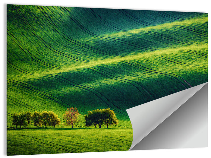 Southern Moravia Rolling Fields Wall Art as a poster print