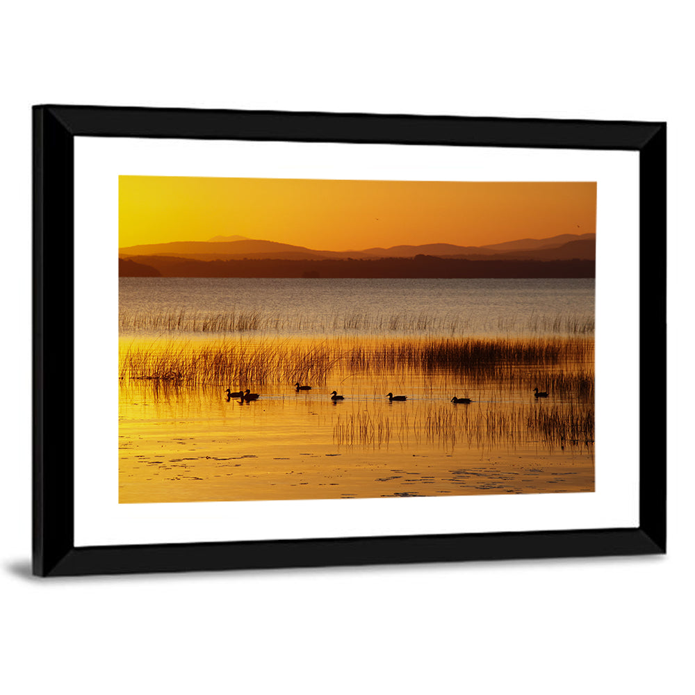 Lake Champlain Golden Sunrise Wall Art