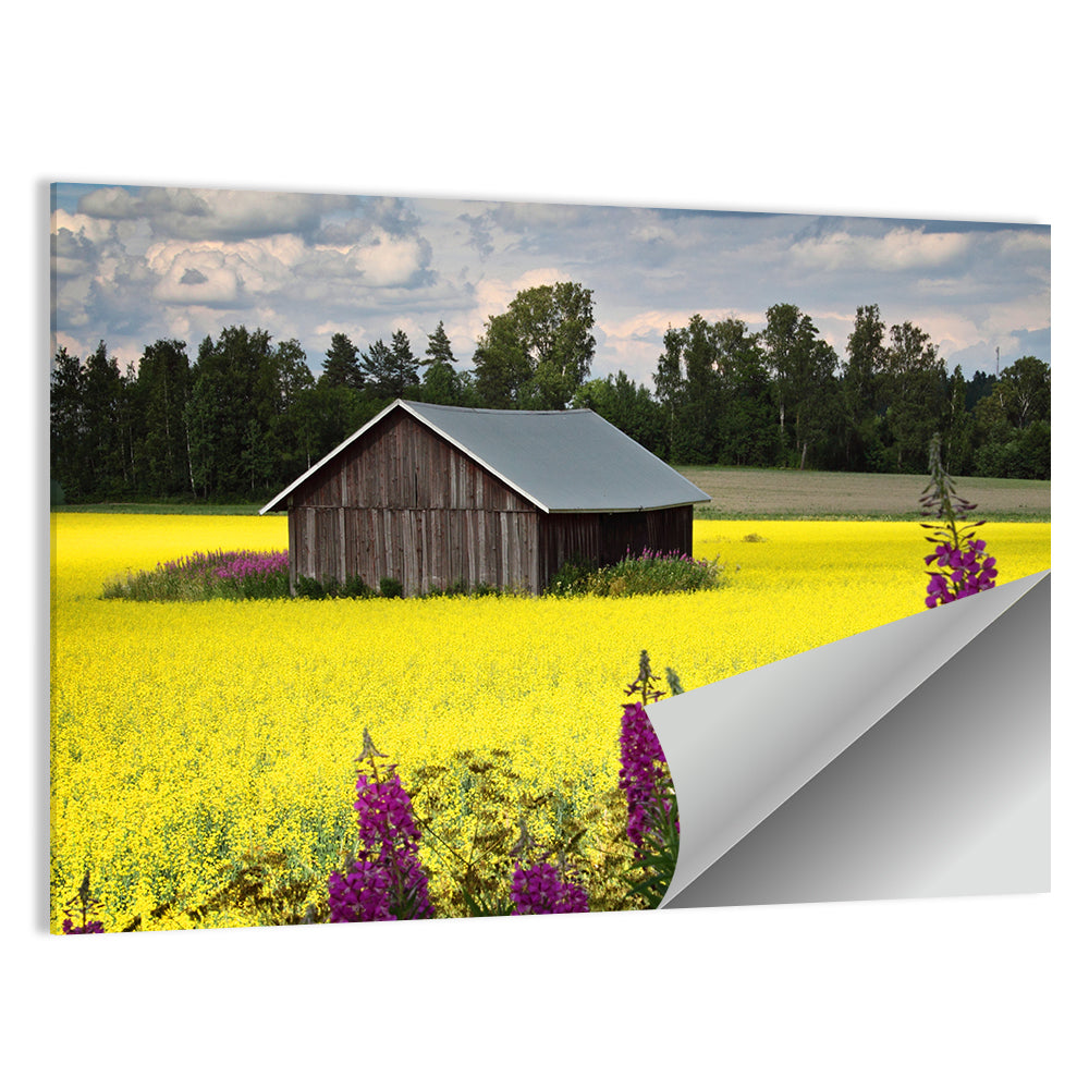 Finnish Barn in Yellow Field Wall Art