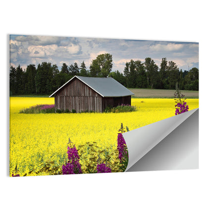 Finnish Barn in Yellow Field Wall Art