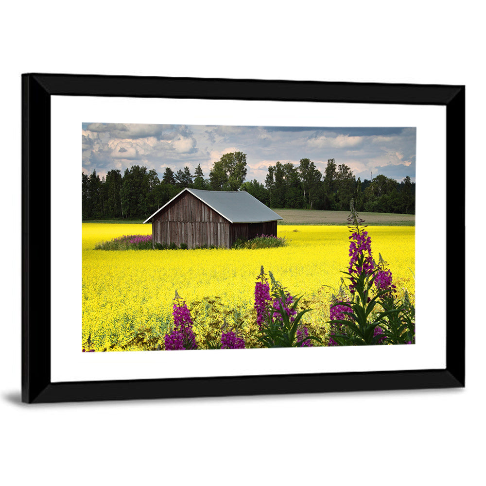 Finnish Barn in Yellow Field Wall Art